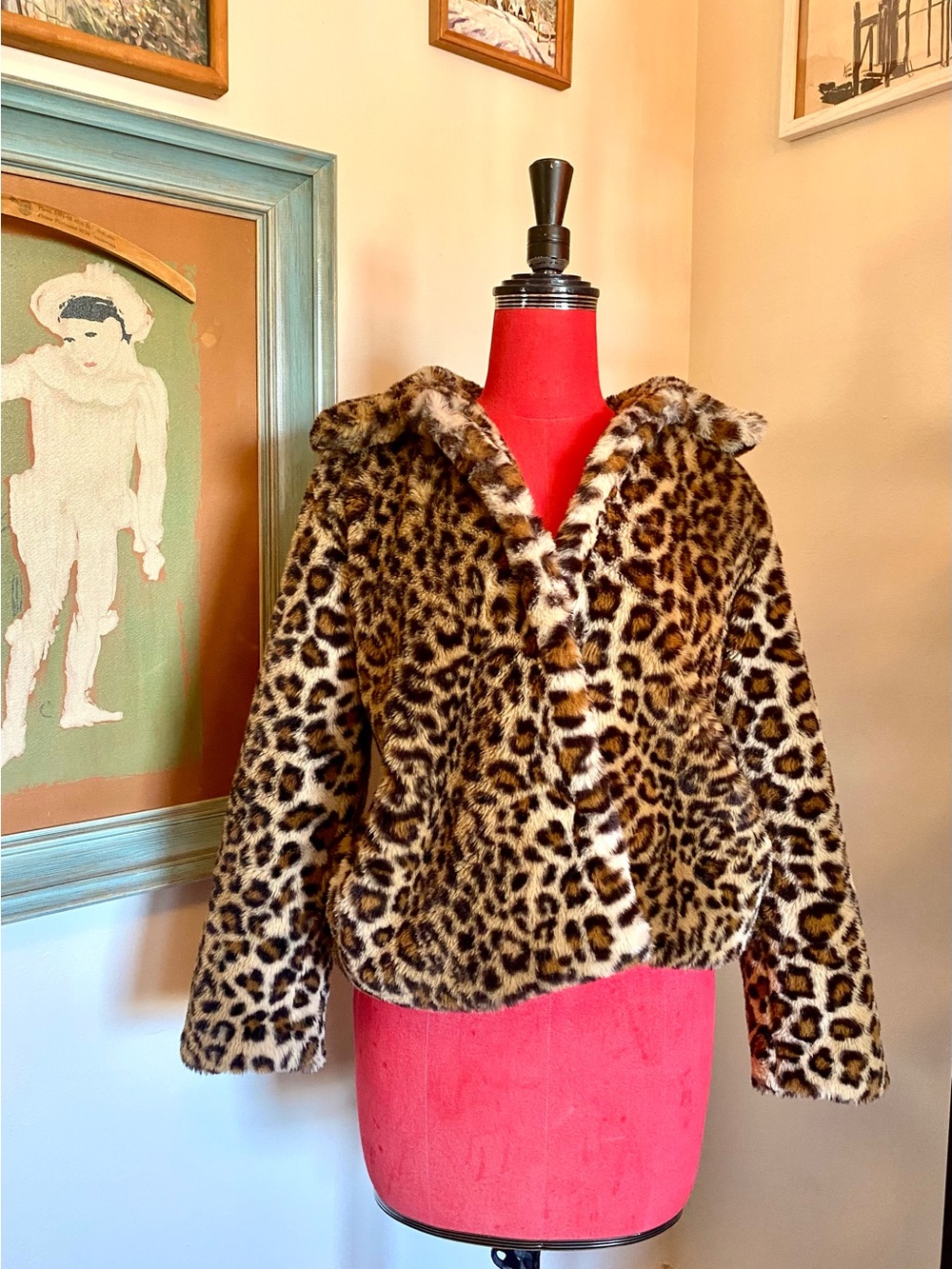 Leopard Print Jacket